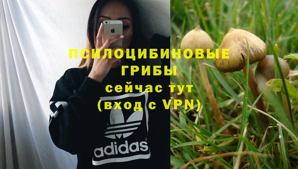 тгк Зеленокумск