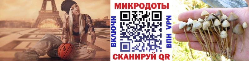 Купить закладки  Когалым  Псилоцибиновые грибы MAGIC MUSHROOMS 